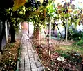 Снимка 3 — Къща в Пловдив, с. Ръжево Конаре