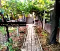 Снимка 2 — Къща в Пловдив, с. Ръжево Конаре