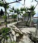 Къща в Пловдив, с. Ръжево Конаре
