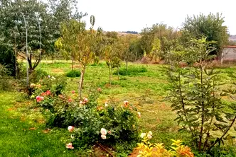 Къща в Пловдив, с. Селци