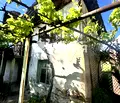 Снимка 5 — Къща в Пловдив, с. Старосел