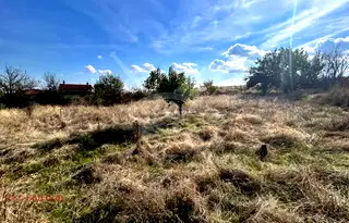 Къща в Пловдив, с. Старосел