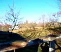 Снимка 5 — Къща в Разград, с. Островче