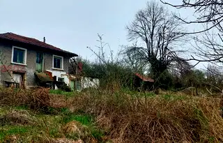 Къща в Русе, Борово