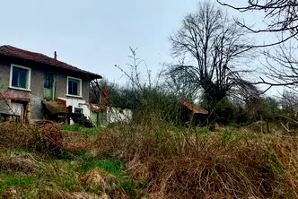Къща в Русе, Борово