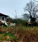 Къща в Русе, Борово