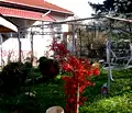 Снимка 5 — Къща в Русе, Ветово