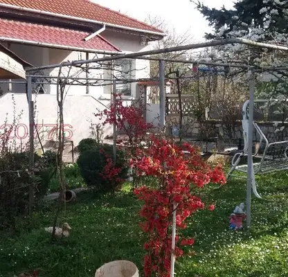 Photo 5 — House in Ruse, Vetovo