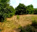 Снимка 4 — Къща в Русе, с. Батишница