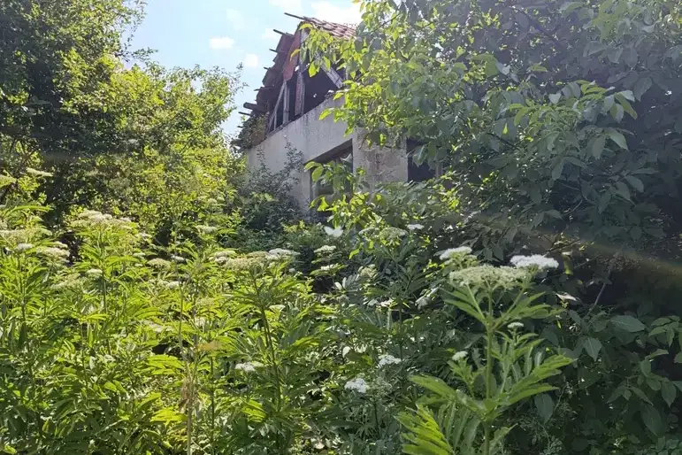 Къща в Русе, с. Батишница