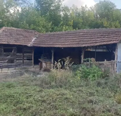 Photo 3 — House in Oblast Ruse, Bosilkovci