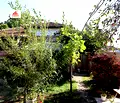 Снимка 5 — Къща в Русе, с. Босилковци