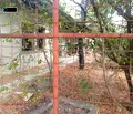 Снимка 2 — Къща в Русе, с. Бръшлен