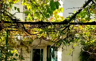 Къща в Русе, с. Черешово