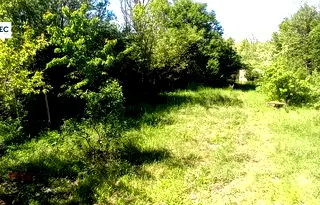 Къща в Русе, с. Николово