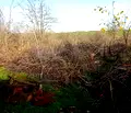 Снимка 5 — Къща в Русе, с. Ново село