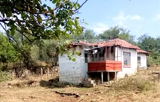Къща в Русе, с. Писанец