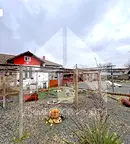 Къща в Шумен, Плиска