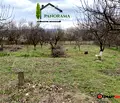 Снимка 3 — Къща в Шумен, с. Кюлевча
