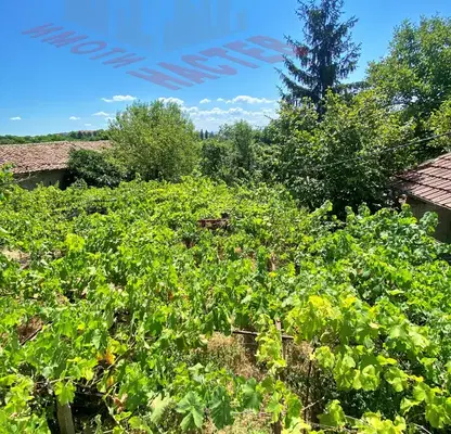 Снимка 5 — Къща в Шумен, с. Мараш