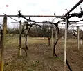 Снимка 2 — Къща в Сливен, с. Събрано