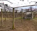 Снимка 3 — Къща в Сливен, с. Събрано