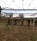 Къща в Сливен, с. Събрано