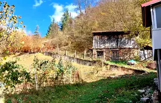 Къща в Смолян, с. Арда