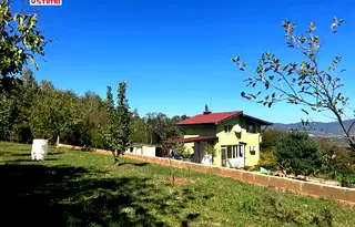 Къща в София, Ботев