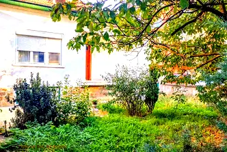 Къща в София, Ботев