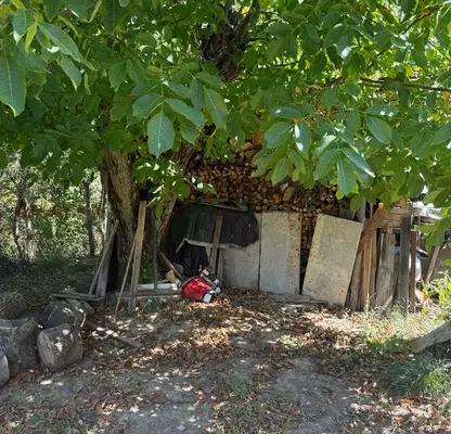 Photo 5 — House in област София, Pravec
