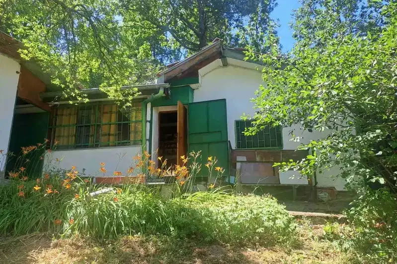 Къща в София, Своге