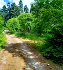 Къща в София, к.к. Боровец