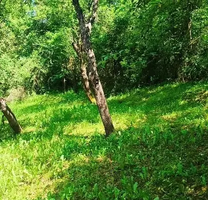 Снимка 4 — Къща в София, с. Джурово