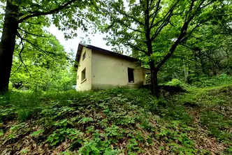 Къща в София, с. Долно Камарци