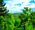 Снимка 4 — Къща в София, с. Макоцево