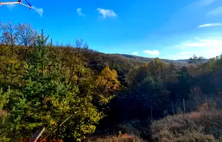 Къща в София, с. Макоцево