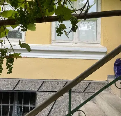Снимка 4 — Къща в София, с. Мирково