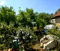 Снимка 4 — Къща в София, с. Мургаш