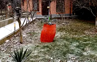 Къща в София, с. Несла