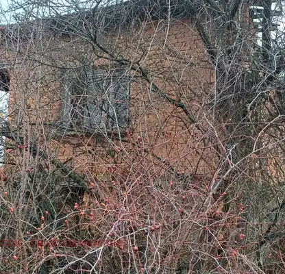 Photo 2 — House in област София, Ochusha