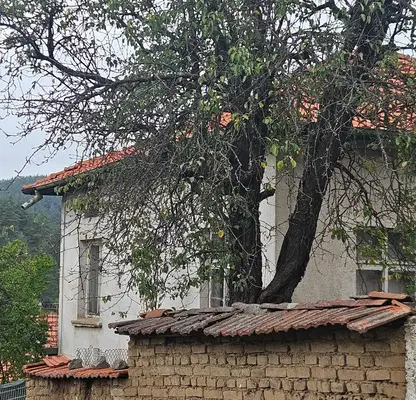 Photo 2 — House in област София, Shiroki Dol