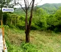 Снимка 5 — Къща в София, с. Свидня