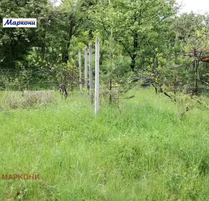 Photo 5 — House in област София, Svidnya