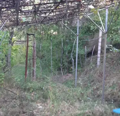 Снимка 4 — Едноетажна къща с 2 стаи в с. Владо Тричков, двор и тераси