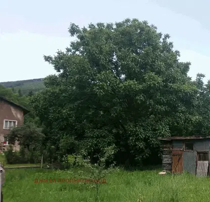 Снимка 3 — Къща в София, с. Владо Тричков