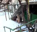 Снимка 2 — Къща в София, с. Владо Тричков