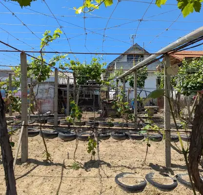 Photo 4 — House in Oblast Stara Zagora, Kazanlyk