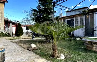 Къща в Стара Загора, Мъглиж