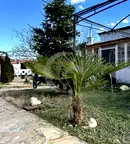 Къща в Стара Загора, Мъглиж